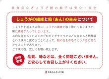 画像をギャラリービューアに読み込む, <即完売につきコラボ餃子追加販売致します!>本店生しょうが生餃子100個(にんにくなし)